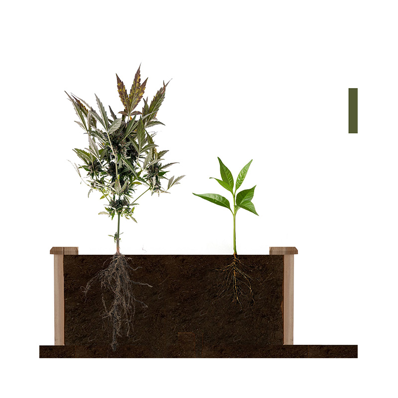 Caixa de cama de jardim elevada de 3,9 pés x 3,9 pés com grade de crescimento segmentada, material de madeira para plantas e ervas de quintal