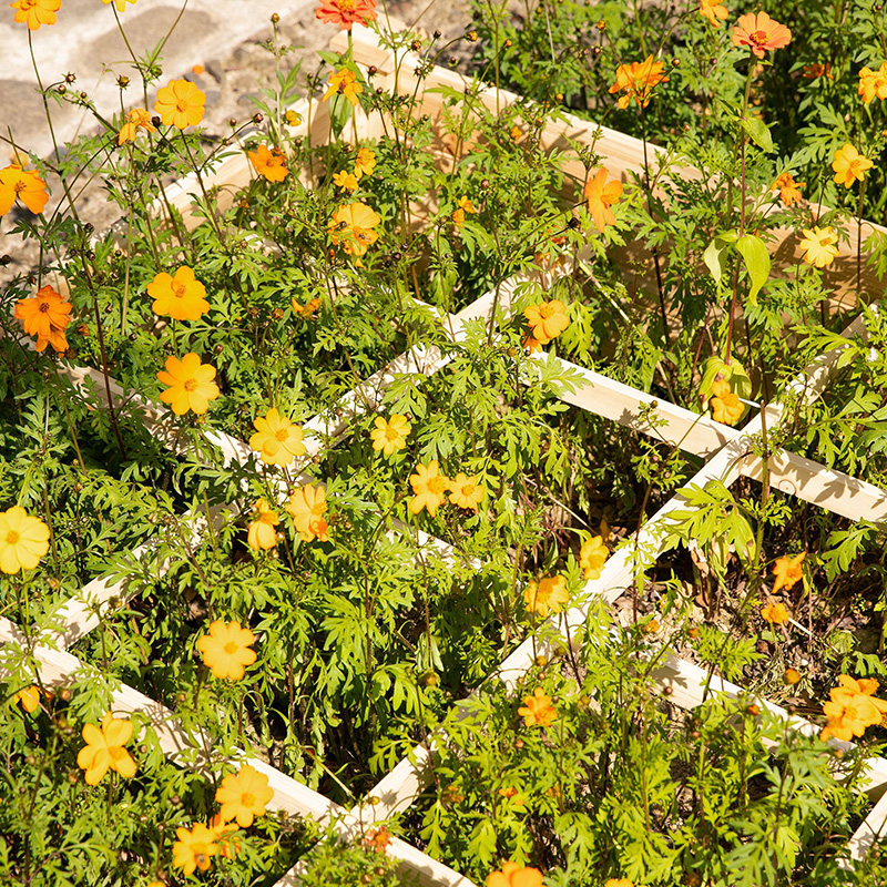 Caixa de cama de jardim elevada de 3,9 pés x 3,9 pés com grade de crescimento segmentada, material de madeira para plantas e ervas de quintal